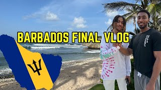 Barbados Vlog 🇧🇧 Final Episode  Ostins Fish Fry [upl. by Sallee800]