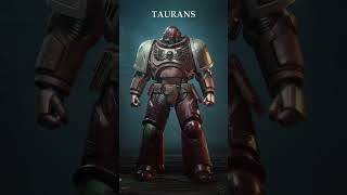 All Playable Astartes Chapter Armor in Warhammer 40K spacemarine2 gaming warhammer40k [upl. by Roarke]