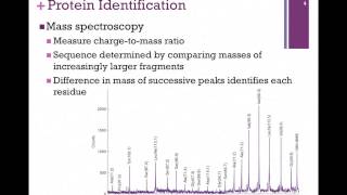 023Mass Spectroscopy [upl. by Pliner]