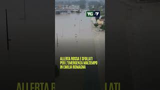 Allerta rossa e sfollati per l’emergenza maltempo in Emilia Romagna [upl. by Mamoun]