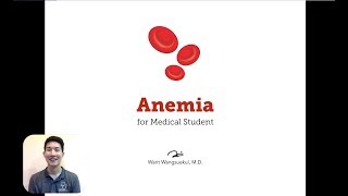 Anemia — Part 1 Introduction and Underproductive Anemia [upl. by Yelsnia]