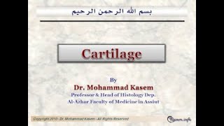 Histology of Cartilage [upl. by Erlina]