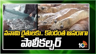 వ‌నామి రైతుల‌కు కొండంత ఆస‌రాగా పాలీకల్చర్  Polyculture Farming Techniques  Matti Manishi  10TV [upl. by Haydon]