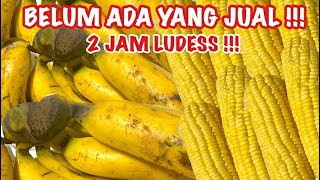 2JAM LUDES BERKAH JUALAN INI MODAL KECIL UNTUNG BANYAK [upl. by Afital]