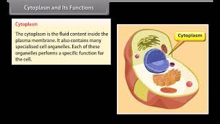 Standard 9 Science Chapter 5  Cell and Its Structure  Quick Revision [upl. by Ewan]