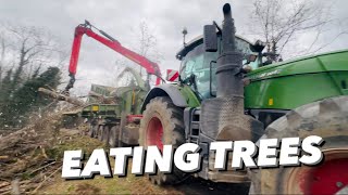 A BIG FENDT ON A WOOD CHIPPER AnswerAsAPercent 1403 [upl. by Poole338]