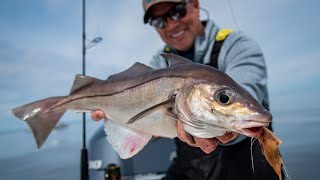 Spring Haddock Fishing  Plymouth MA  S20 E04 [upl. by Miculek]