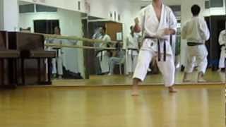 Shotokan karate  kihon techniques for Sandan 3rd Dan  KSK syllabus [upl. by Azil]