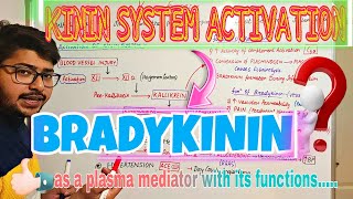 BRADYKININ release mechanismduring INFLAMMATIONKININ SYSTEM [upl. by Oniger]