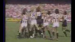 Carlton vs Collingwood brawl Princes Park 1975 [upl. by Edana937]