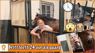 24 UUR LEVEN ALS PAARD Challenge  PaardenpraatTV [upl. by Salem]