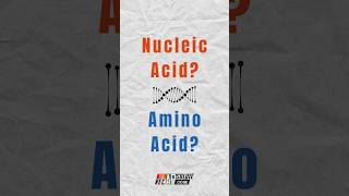 🧬 Stop confusing nucleic acids and amino acids with this hack apbio biology [upl. by Ecnerolf]