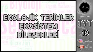 15 Ekolojik Terimler ve Ekosistem Bileşenleri [upl. by Trauts569]