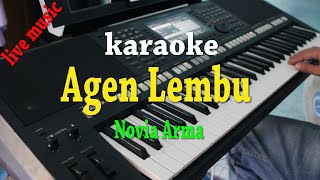 Agen lembu karaoke Novia arma [upl. by Chesna659]