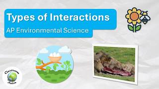 Types of Species Interactions AP Environmental Science 6 [upl. by Ordnas]