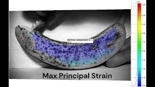 Digital Image Correlation DIC Strain Fields Peeling a Banana [upl. by Ayaladnot970]