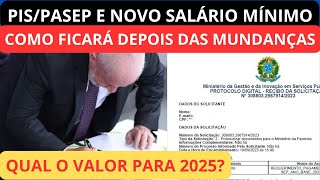 SALÁRIO MÍNIMO 2025 Qual Sera O Valor Do Novo Salário Mínimo  Quanto Vou Receber De PISPASEP [upl. by Edelstein]