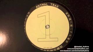 Animal Trax Vol 1  Untitled B2  Animal Trax [upl. by Auqined791]