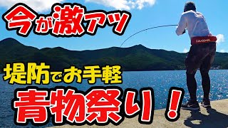 青物釣り初心者でも堤防で手軽に青物が釣れる！夏のスーパーライトショアジギングが超おすすめ！！ [upl. by Grory]