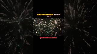 SILVESTER COMPILATION 20232024🧨  Part 4 [upl. by Radferd849]