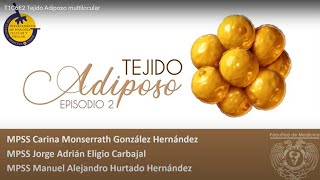 T1C6E2 Tejido Adiposo multilocular [upl. by Kotick945]