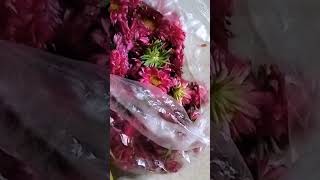 Early morning flower buying for diwali home decoration from flower market This is like a ritual [upl. by Eisler]