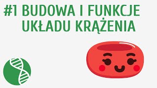 Budowa i funkcje układu krążenia 1  Krążenie [upl. by Colline]