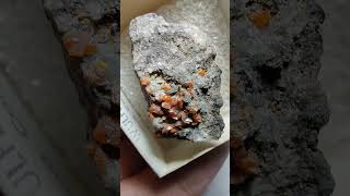 Wulfenite crystals on matrix Arizona [upl. by Hector]