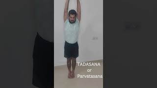 Tadasana  Yoga  Asana  MrವಾW [upl. by Zora]