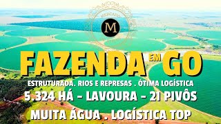 ESPETACULAR FAZENDA PRODUTIVA EM GOIÁS COM 5324 HÁ C 21PIVÔS SOJA MILHO FEIJÃO  MercadodeAtivos [upl. by Aerdnahs]