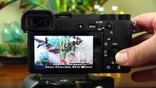 Sony a6500  The Best Feature You Havent Heard About [upl. by Archibold]