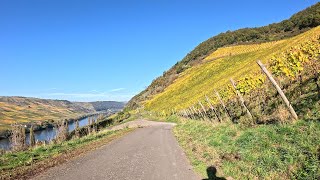 Ultimate Indoor Cycling Fatburning Workout 🚴‍♀️🍁🌞 Mosel Germany GPS Data 4K Video [upl. by Norrag592]