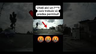 Atenție la bizon goviral trafic incadrare vai și amar viral [upl. by Mile]