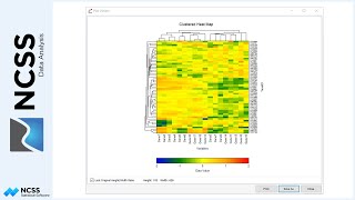 Clustered Heat Maps Double Dendrograms in NCSS [upl. by Aniuqahs931]