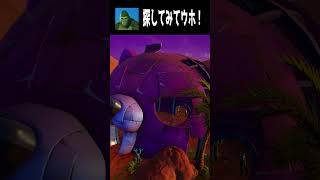 【1030】見つけられたらすごい！てらごりをさがせ part１ fortnite フォートナイト shorts かくれんぼ ハロウィン [upl. by Annaiek]