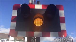 LEVEL CROSSINGS IN THE UK 2017 [upl. by Sephira]