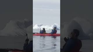 Kayak Tour In Ilulissat  Greenland Backcountry [upl. by Claire]