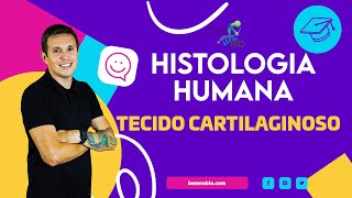 Histologia Humana  Tecido Cartilaginoso [upl. by Radmen]