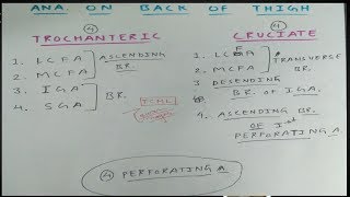 Trochanteric and Cruciate Anastomosis  Part 1  The Charsi of Medical Literature [upl. by Nairot]