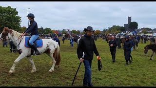 Horses Ponies and Spectators at Ballinasloe Horse Fair [upl. by Micheal]