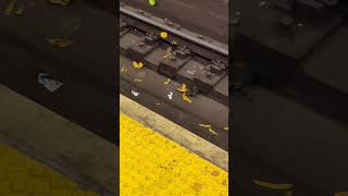 The Rats are Feasting Within the MTA Subway 🥭 🐀 😱 newyork mtasubway shorts food travel [upl. by Han]