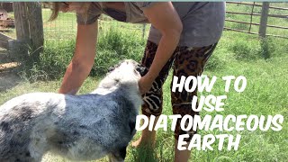 How to Use Diatomaceous Earth for Pest Control [upl. by Anytsirk]