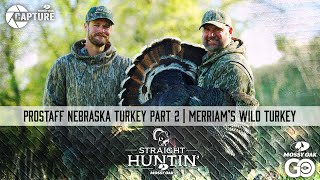 Prostaff Nebraska Turkey Part 2  Merriams Wild Turkey  Straight Huntin [upl. by Naired]