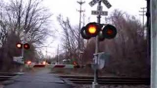 The NJ transit passes over the level crossing [upl. by Annaiviv]