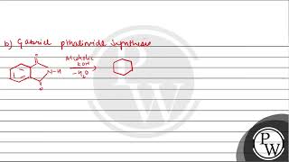 Explain briefly a Carbylamine reactionb Gabriel phthalimide synthesis [upl. by Sheedy]