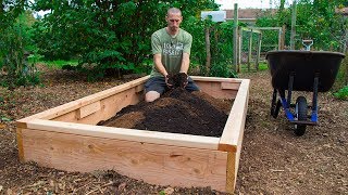 How to Build a Raised Bed CHEAP and EASY Backyard Gardening [upl. by Aileek499]