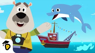 The Sound of Dolphins  Learn about Sea Animals  Kids learning video  Dr Panda TotoTime [upl. by Thier]