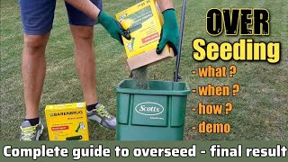 Lawn fall overseeding  All you need to know  Demonstration lawn overseeding [upl. by Athal]