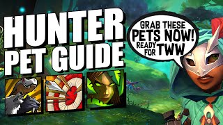 The ULTIMATE Hunter Pet Guide [upl. by Palila879]