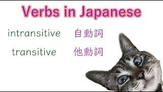 Transitive amp Intransitive verbs 1 Verbs in Japanese  Learn Japanese with Toby [upl. by Bridwell100]